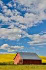 USA, Washington State, Palouse. Canola field and red barn Art Print